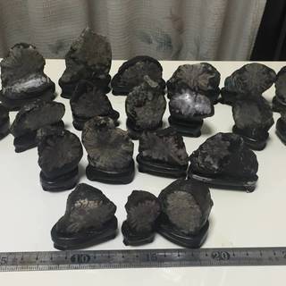 ※現在発掘不可　特別天然記念物　岐阜県　根尾谷産　菊花石　　天然石　台座付き　２０個セットの画像