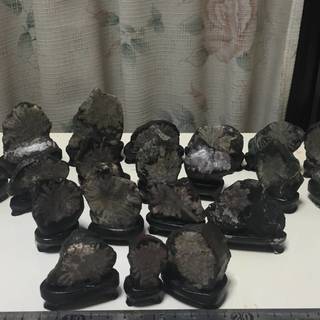 ※現在発掘不可　特別天然記念物　岐阜県　根尾谷産　菊花石　　天然石　台座付き　２０個セットの画像