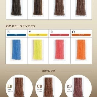 【髪に優しい白髪染め】ヘナでもマニキュアでも無い優しいカラー
