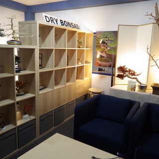 ドライ盆栽・手作り体験教室：初級・初心者コースの画像