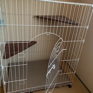 猫用ゲージ