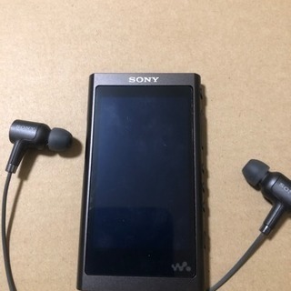 SONY ウォークマン NW-A55HN の画像