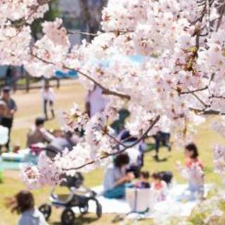 🌸お花見会 ３月３０日 @新宿