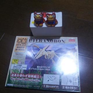 プテラノドン木製プラモデルと赤色シ－サー