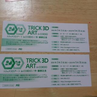 トリック3DアートinCOEDO　入場券