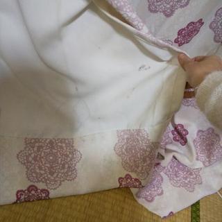 franc  franc の  カーテンの画像