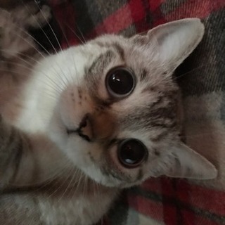 ママ友募集しています