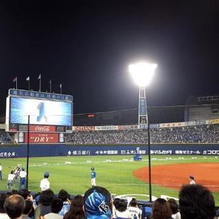 観戦仲間募集中～横浜ファン