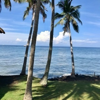 バリ島が好きだけど