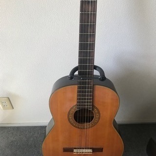 高峰(Takamine)3500円！！！田園 第八拾號 クラシッ...