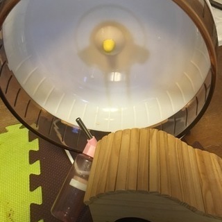 小動物用くるくる回るのん