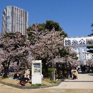 ❣️3月31日(日)❣️錦糸公園❣️お花見🌸🍺🌸