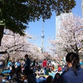 ❣️3月31日(日)❣️錦糸公園❣️お花見🌸🍺🌸 - 墨田区