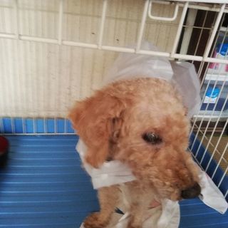 お願いします(_ _)