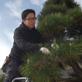 造園業　庭師　ガーデナー　ツリークライマー　アーボリスト　植木屋の画像