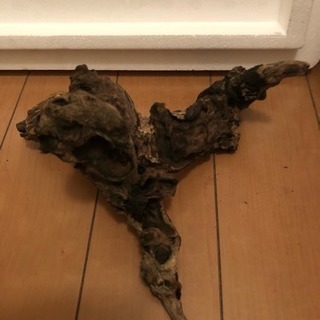 流木2(熱帯魚水槽)