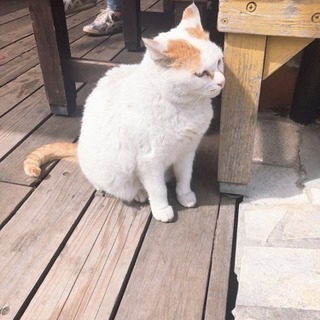 新生活セット譲ってください！！！