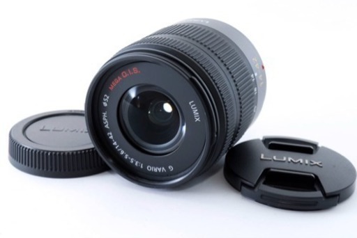 ✩美品✩ Panasonic パナソニック LUMIX G VARIO 14-42mm/F3.5-5.6 ASPH./MEGA O.I.S.
