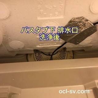 浴室クリーニング9,800円‼️ - ハウスクリーニング