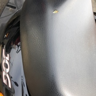 YAMAHA ジョグ 4スト50cc 原付メットイン 福岡市南区の画像