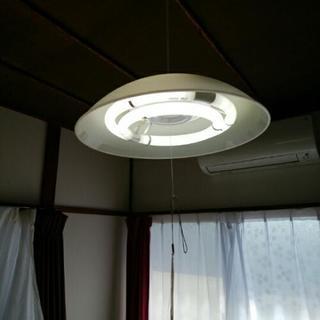 照明