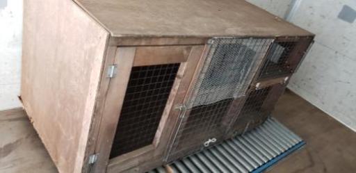犬小屋