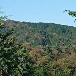 自然の中で気持ち良く働いてみませんか？の画像