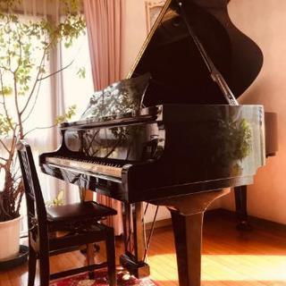 音楽教室 生徒募集♪