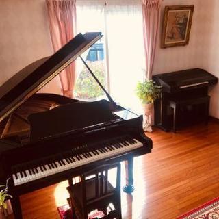 音楽教室 生徒募集♪の画像