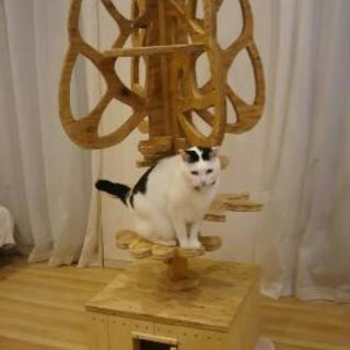 キャット タワー (ツリー ) ハンドメイド（限定値下）の画像