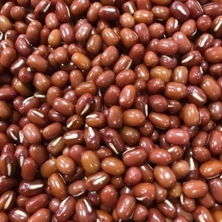 北海道産 えりも小豆 10kg