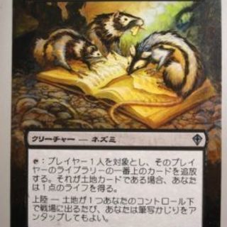 3/30武蔵浦和MTG交流会※追記