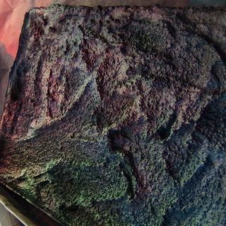 ジオラマ地面「岩場」ハーフサイズ:木板「受注・オーダーメイド」の画像