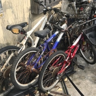 自転車沢山。