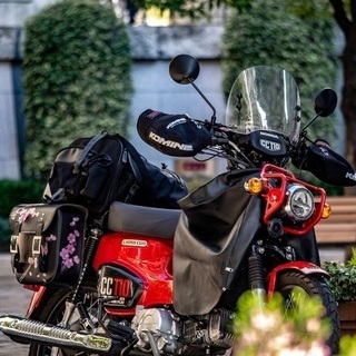 【女性限定】バイクのツーリング仲間募集  - 友達