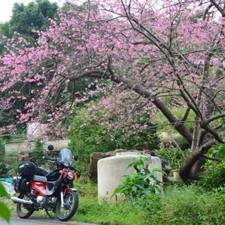 【女性限定】バイクのツーリング仲間募集  − 東京都