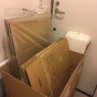 段ボール