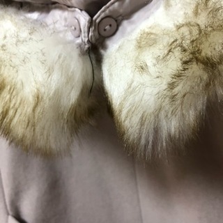 コート ロペピクニックの画像