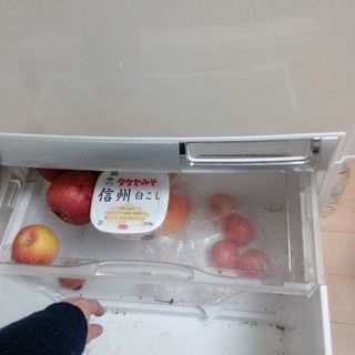 冷蔵庫の画像
