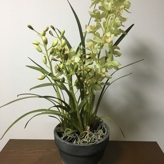 人工観葉植物 造花 