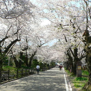 【参加者募集中】3/30(土)12:00～　大田区（雪が谷大塚～...