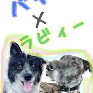 犬友募集します🎶