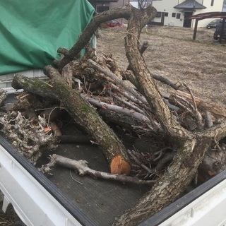 薪をどうですか？