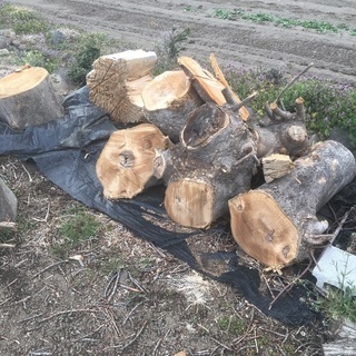 薪をどうですか？の画像