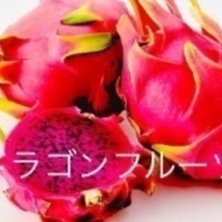 やすい農園【管理グリーン開発】植物販売　観光農園　陶芸体験　雑貨販売 - 地元のお店