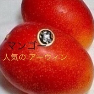 やすい農園【管理グリーン開発】植物販売　観光農園　陶芸体験　雑貨販売 - 鹿児島市