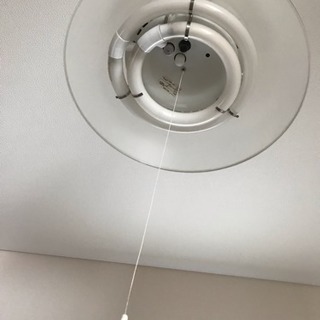 電気＊照明