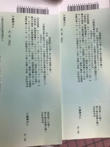 今月いっぱい美ら海の入園チケット格安！2枚で2000円以下！