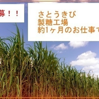 1ヶ月短期 よなぐに 製糖