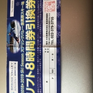 スプリングバレー泉高原スキー場  8時間券 チケット